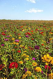 独立游戏开发者吐槽中国玩家后 又“滑跪”道歉！