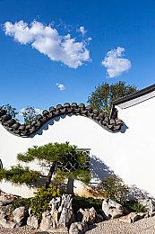 《方舟：生存飞升》的“中心岛”DLC现已无限延期